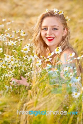 Blond Girl On The Camomile Field Stock Photo