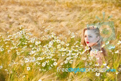 Blond Girl On The Camomile Field Stock Photo