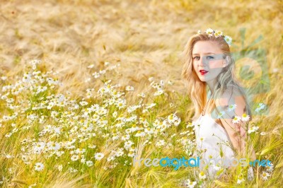 Blond Girl On The Camomile Field Stock Photo