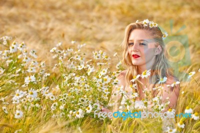 Blond Girl On The Camomile Field Stock Photo