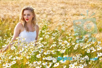 Blond Girl On The Camomile Field Stock Photo