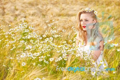 Blond Girl On The Camomile Field Stock Photo