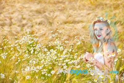 Blond Girl On The Camomile Field Stock Photo