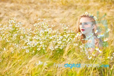 Blond Girl On The Camomile Field Stock Photo