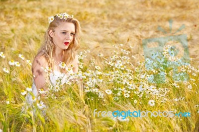 Blond Girl On The Camomile Field Stock Photo