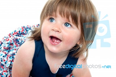 Blonde Cute Baby Girl Crawling Stock Photo