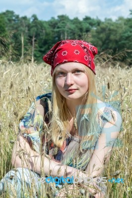 Blonde Dutch Teenage Girl Sitting In Cornfield Stock Photo