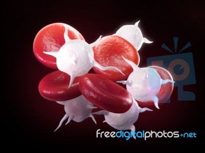 Blood Cells Stock Image