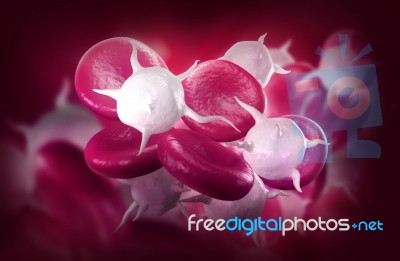 Blood Cells Stock Image