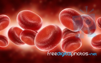 Blood Cells Stock Image