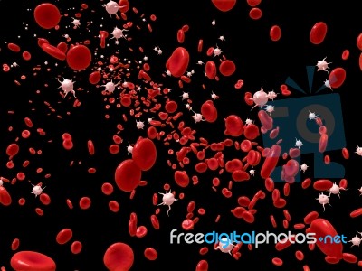 Blood Cells Stock Image