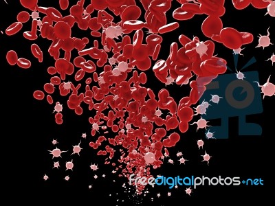 Blood Cells Stock Image