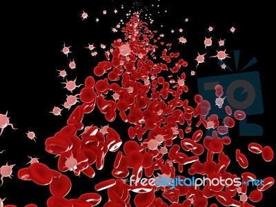 Blood Cells Stock Image