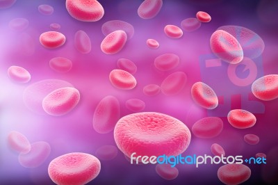 Blood Cells Stock Image