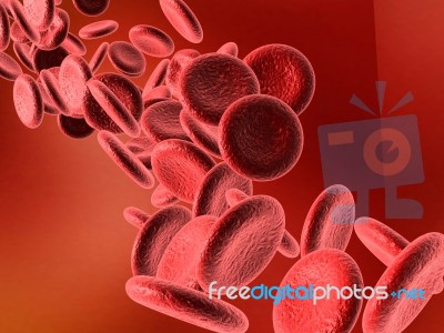 Blood Cells Stock Image