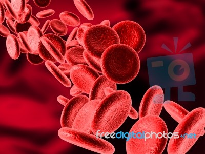 Blood Cells Stock Image