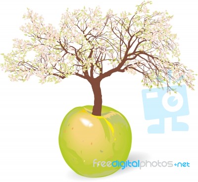 Blossoming New Apple Tree Stock Image