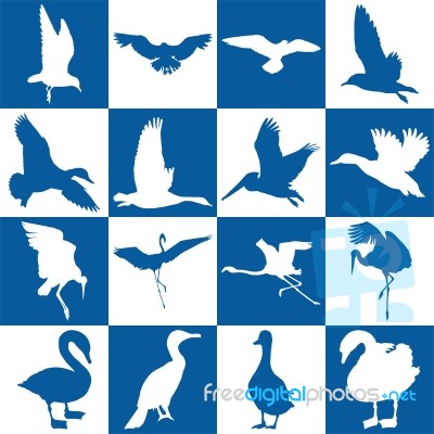 Blue And White Background With Aquatic Birds Stock Image