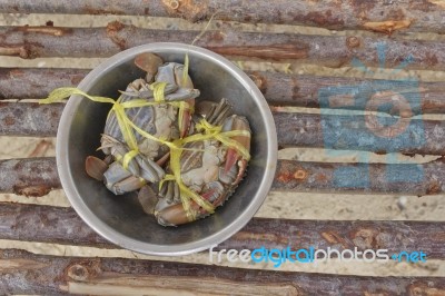 Blue Claw Crab Stock Photo