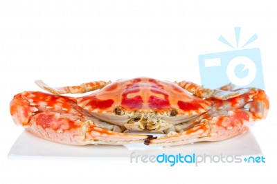 Blue Crab,isolated On White Background Stock Photo