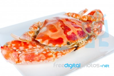 Blue Crab,isolated On White Background Stock Photo