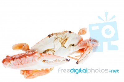 Blue Crab,isolated On White Background Stock Photo