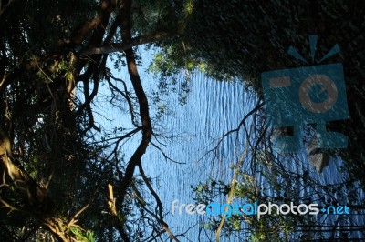 Blue Festival Stock Photo