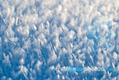 Blue Freeze Leaves Background Stock Image