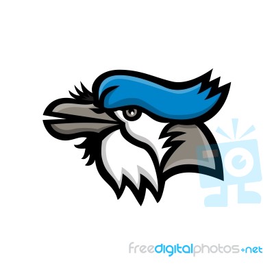 Blue Jay Head Mascot Stock Image