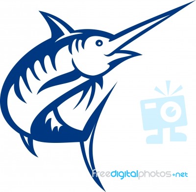 Blue Marlin Fish Jumping Stock Image