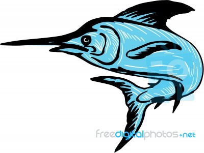 Blue Marlin Fish Jumping Drawing Stock Image