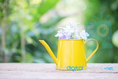 Blue Plumbago In Yellow Mini Watering Can Stock Photo