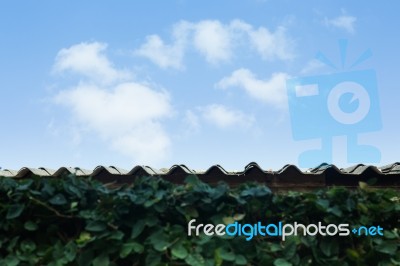 Blue Sky On Roof Top Stock Photo