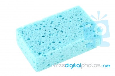 Blue Sponge Stock Photo