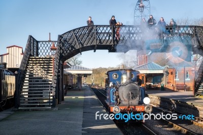 Bluebell Steam Train At Sheffield Park Station Stock Photo