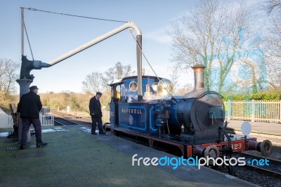 Bluebell Steam Train At Sheffield Park Station Stock Photo