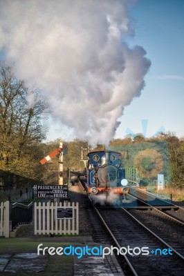 Bluebell Steam Train At Sheffield Park Station Stock Photo