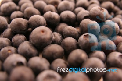 Blueberries Stock Photo