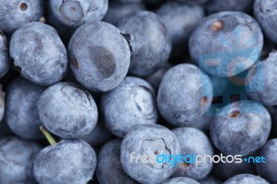 Blueberries Stock Photo