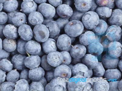 Blueberries Background Stock Photo