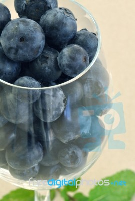 Blueberries In Glass Stock Photo