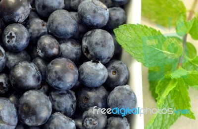 Blueberries With Mint Stock Photo