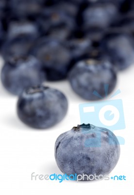 Blueberry Close-up Stock Photo