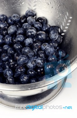 Blueberry Colander Stock Photo