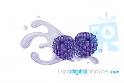 Blueberry Fresh With Splash Illustration Stock Image