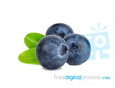 Blueberry Isolated On The White Background Stock Photo