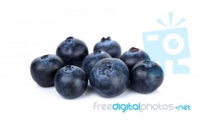 Blueberry Isolated On The White Background Stock Photo