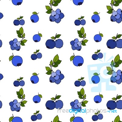 Blueberry Seamless Pattern By Hand Drawing On White Backgrounds Stock Image