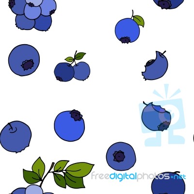 Blueberry Seamless Pattern By Hand Drawing On White Backgrounds Stock Image