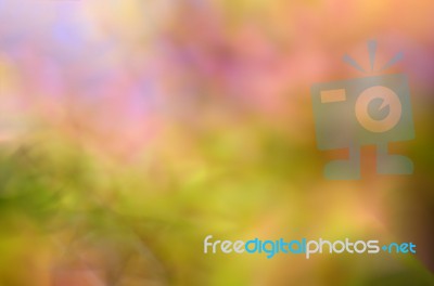 Blur Autumn Leaves Background Stock Photo